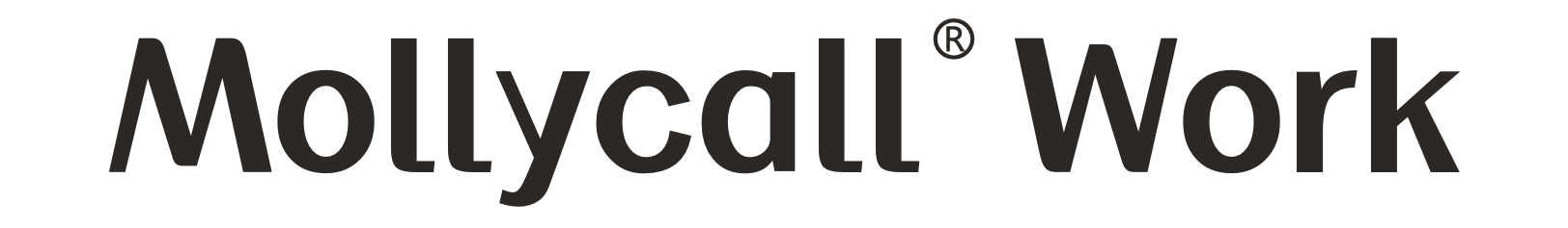 mollycall work 透明黑 副本